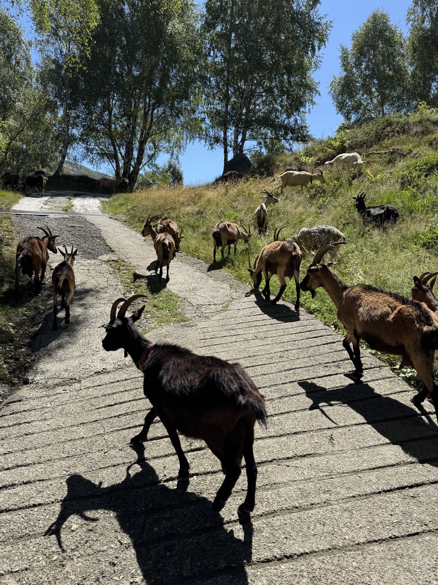Wanderung Tessin